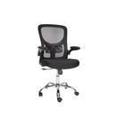 The Silla Brescia is a black ergonomic office chair featuring a mesh back, cushioned seat, and adjustable armrests on a chrome five-wheel base, centered against a white background.