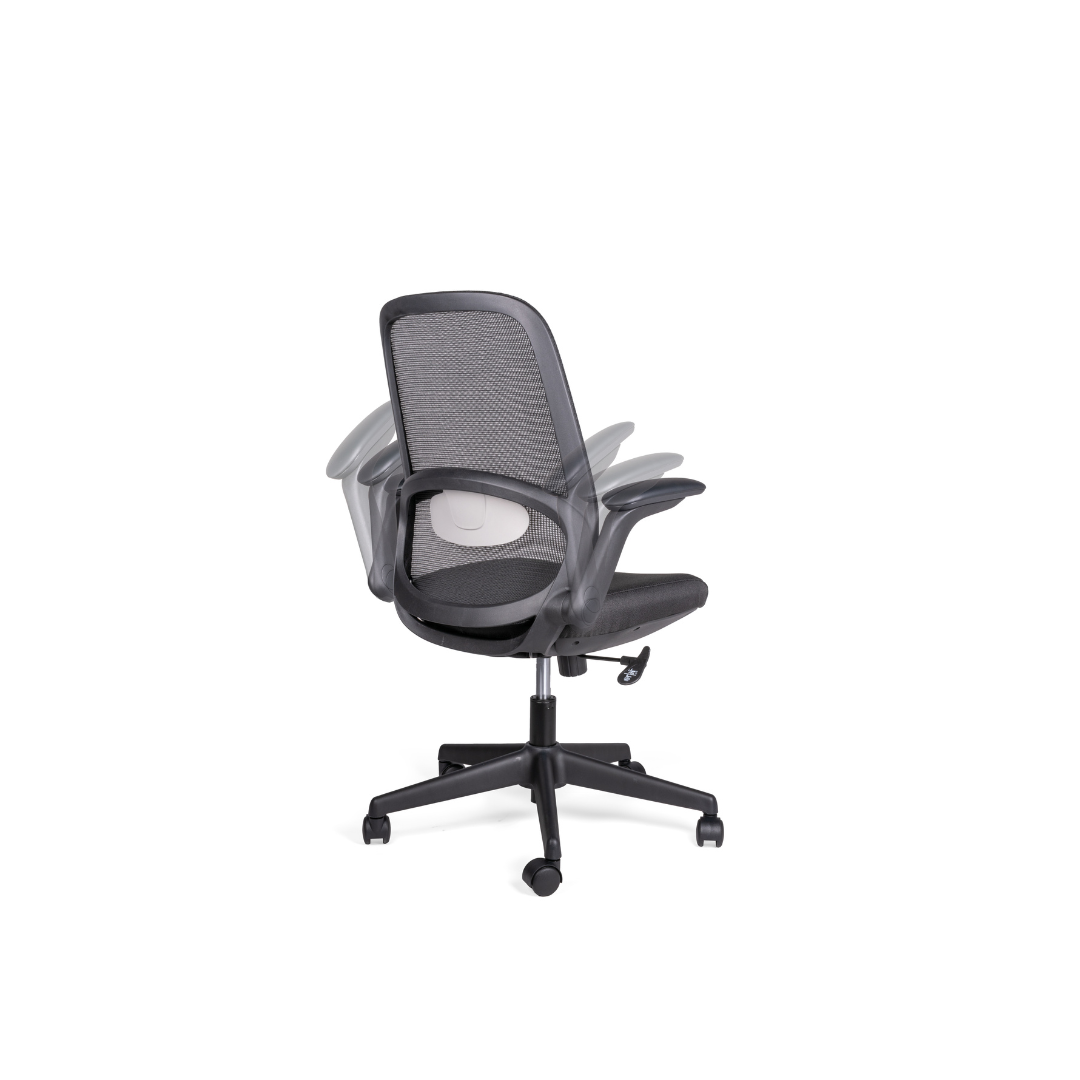Silla Roly